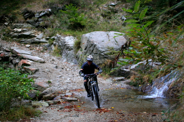 img_3594_43_20101001_1847436269