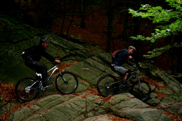 img_3602_45_20101001_1277684987