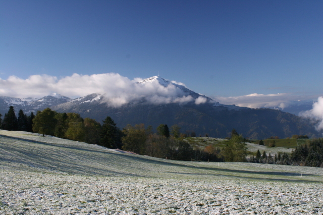 img_3760_3_20101021_2046133832