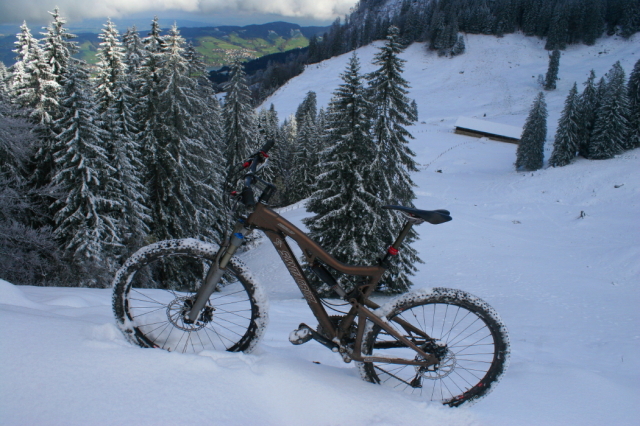 img_3765_6_20101021_1952584148