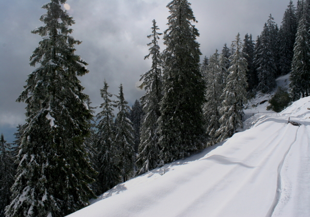 img_3779_13_20101021_1797347896