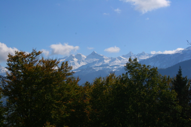 img_3782_14_20101021_2049160078