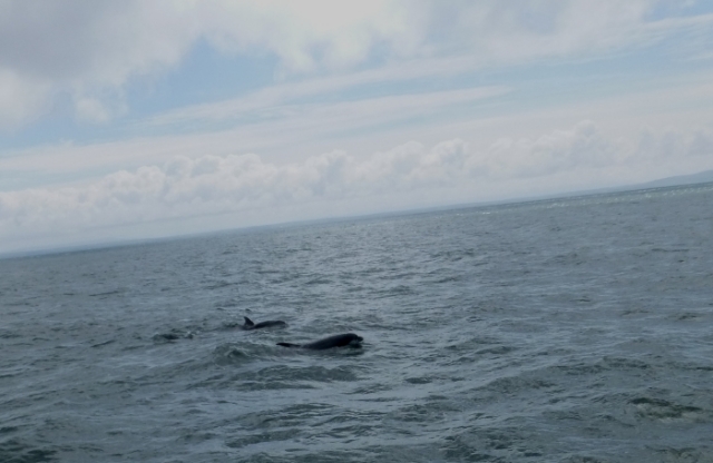 famous ireland 20120704 1664476096