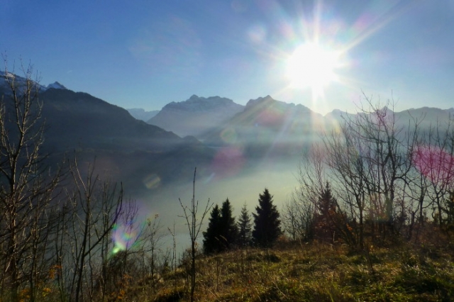 nebelflucht 20121117 1110314840