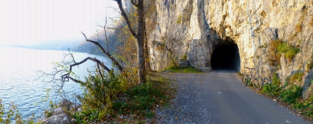 nebelflucht 20121117 1177209860