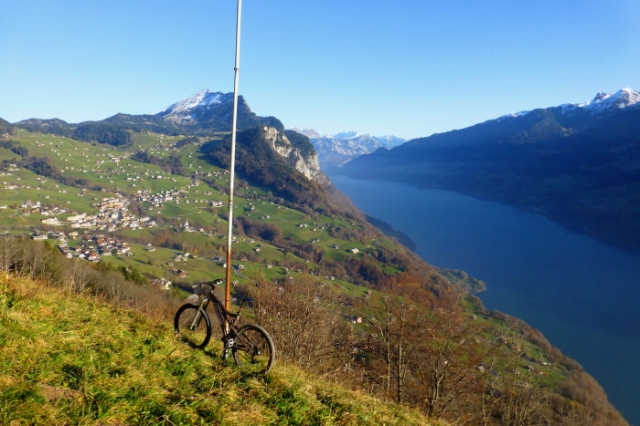nebelflucht 20121117 1984366208