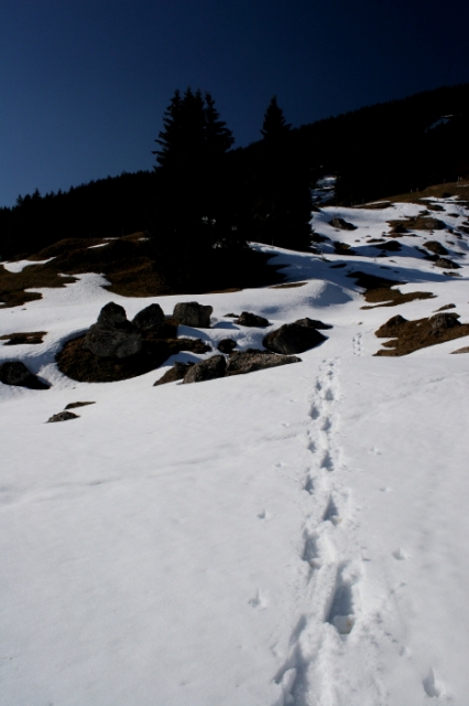 bike and snow wildspitz 20120319 1783586735