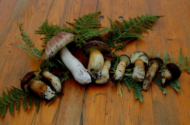 herbst 13 20131015 1216744719