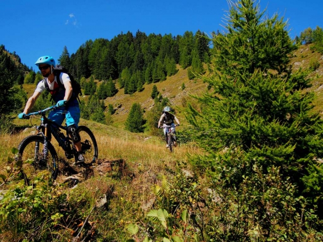 freeride 20130922 1904931498
