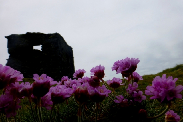 the sunnyside of irland 20130610 1267732050