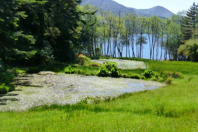 the sunnyside of irland 20130610 1742130047