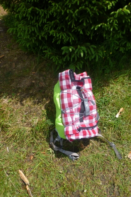 sommer 20130717 1039459225