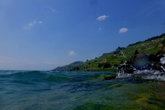 sommer 20130717 1458100607