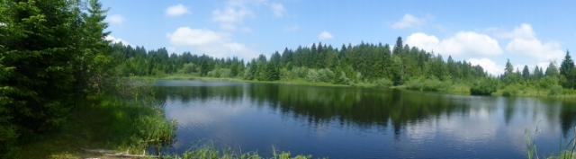 sommer 20130717 1677112444