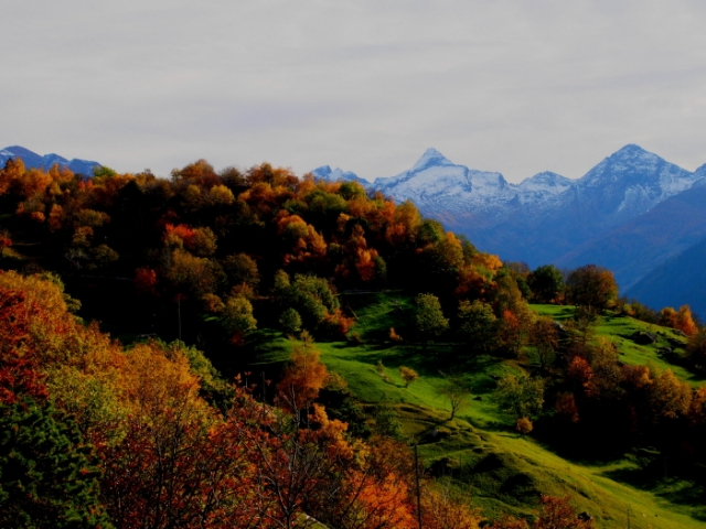 goldener herbst 20131029 1571366834
