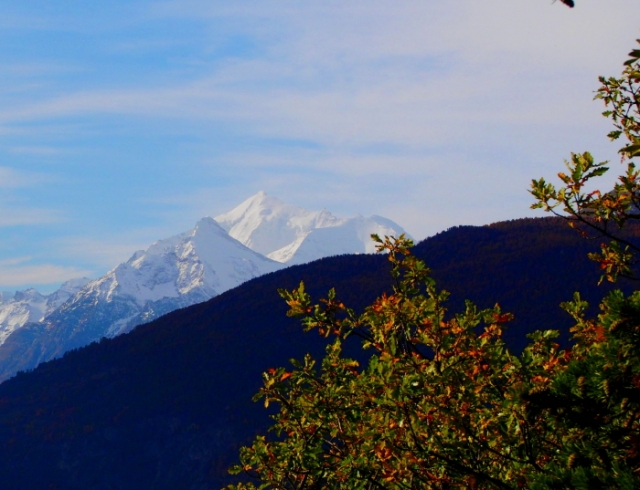 goldener herbst 20131030 1415887723