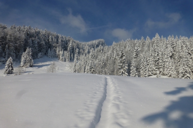 traumhaft 20130118 1101661164
