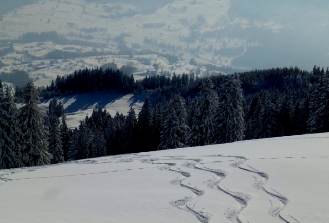 traumhaft 20130118 1664380965