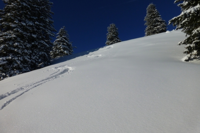 traumhaft 20130118 1985503765