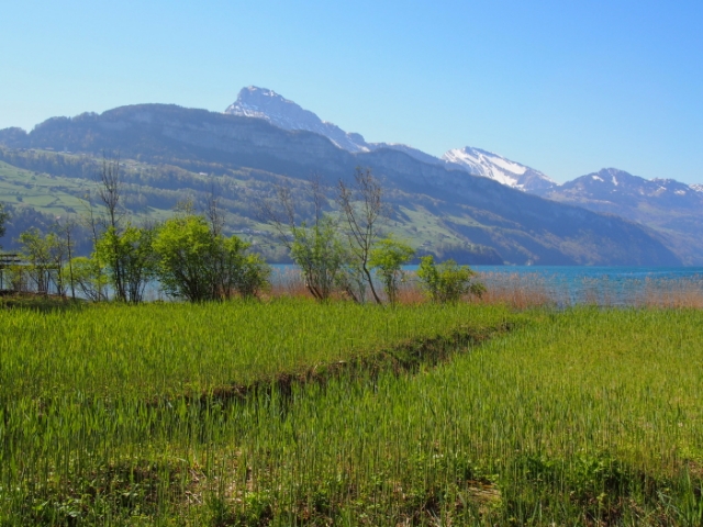 fruehling 20140425 1142464028