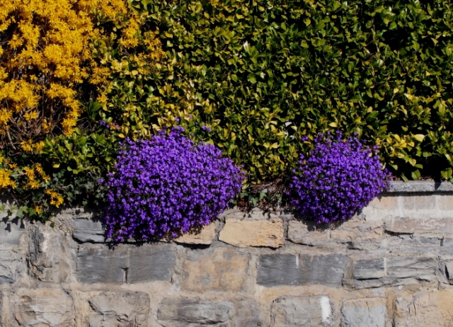 fruehling 20140322 1602946217