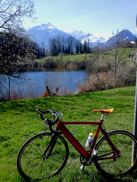 fruehling 20140322 1953354312
