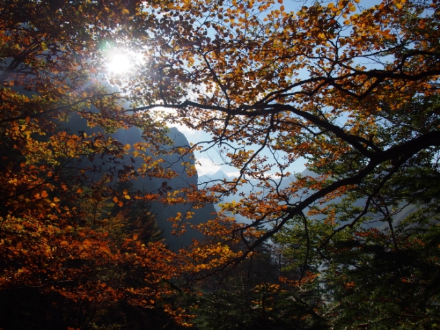 alpstein 20141012 1052018634