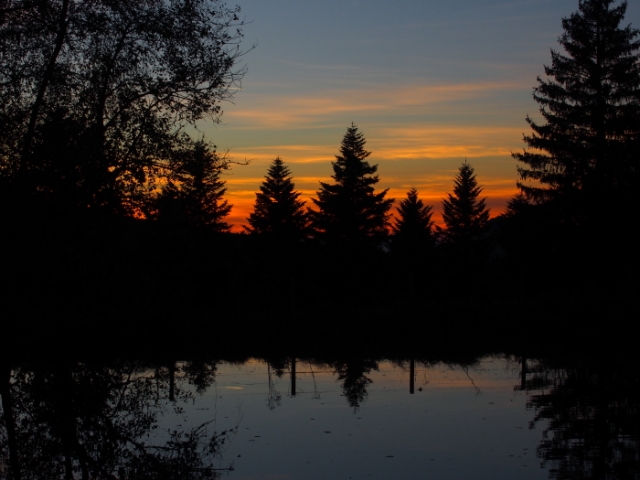 traumherbst 20141103 1499223154