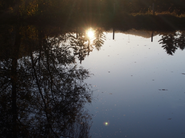 traumherbst 20141103 1575291943