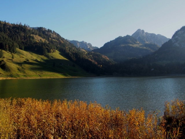 traumherbst 20141103 1761285285