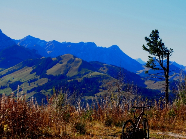 traumherbst 20141103 1851009411
