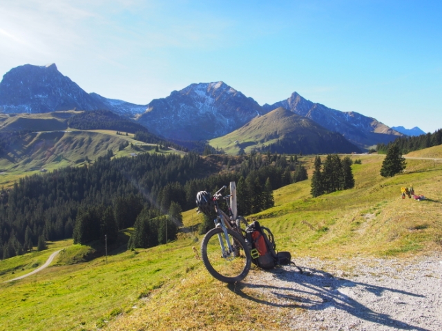 traumherbst 20141103 1995028892