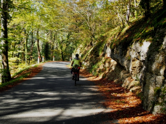 goldener herbst 20141020 1612053681
