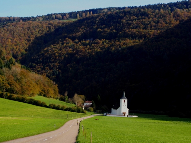 goldener herbst 20141020 2021953460