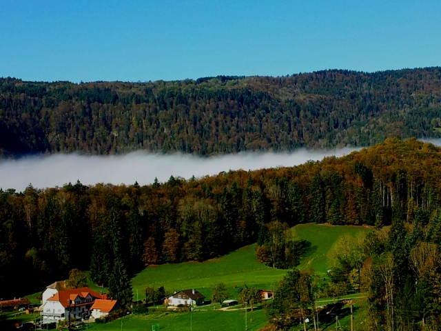 goldener herbst 20141020 2040595332