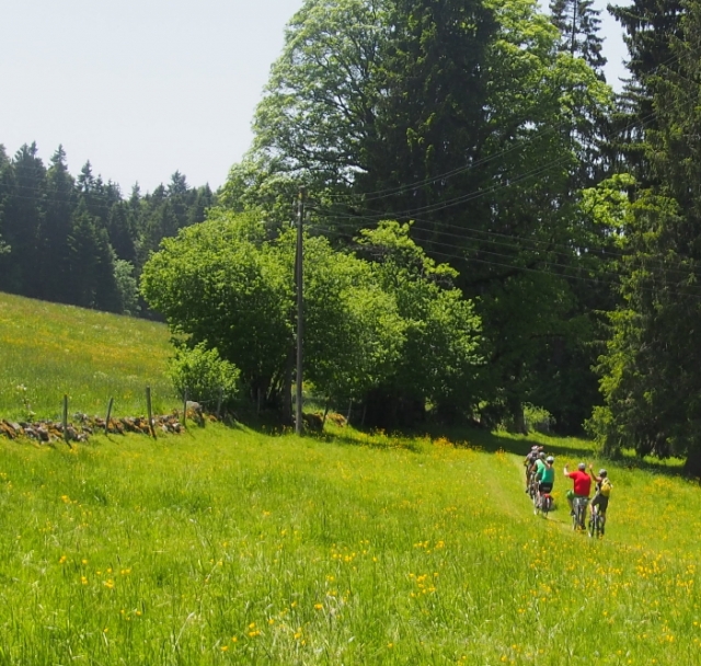 saignelgier 20140612 1784890583