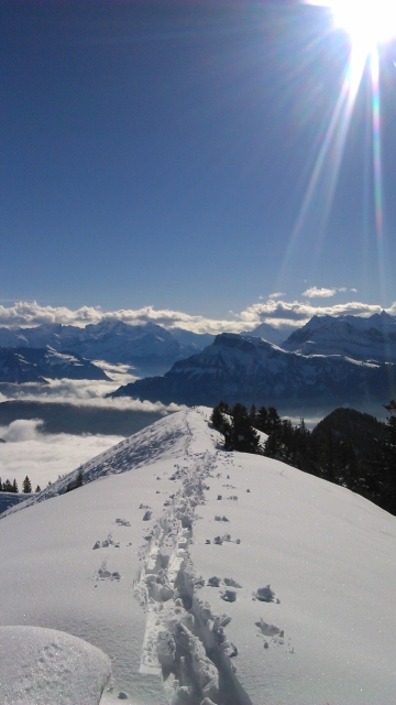 der erste schnee 20141107 1120910926