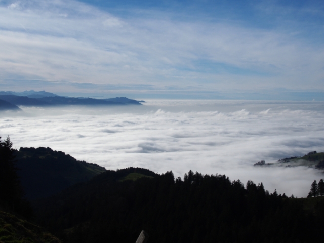 toggenburg 20141117 1646109845