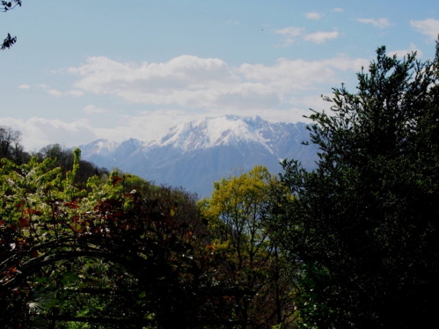 primavera 20140407 1207825641