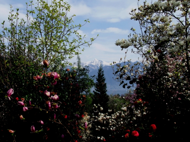 primavera 20140407 1771827724