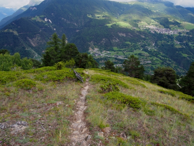 trailcrmeschnitte 20140729 2029225652
