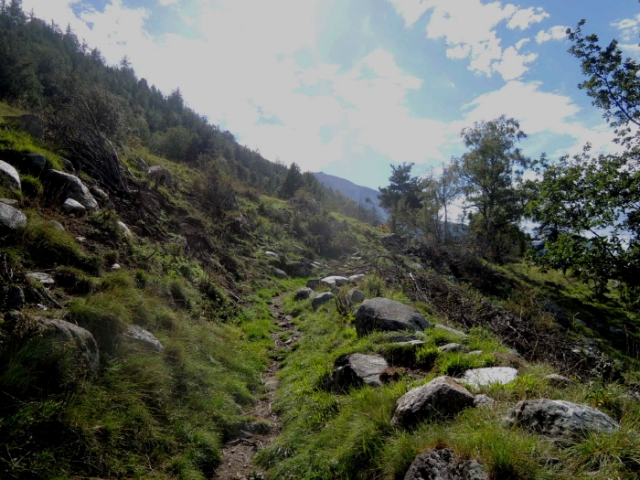 spass pur 20140902 1572962043