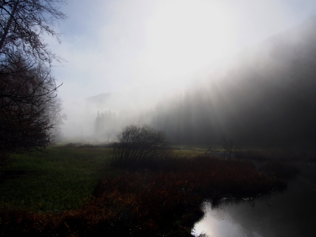 hometrails 20141124 1834125788
