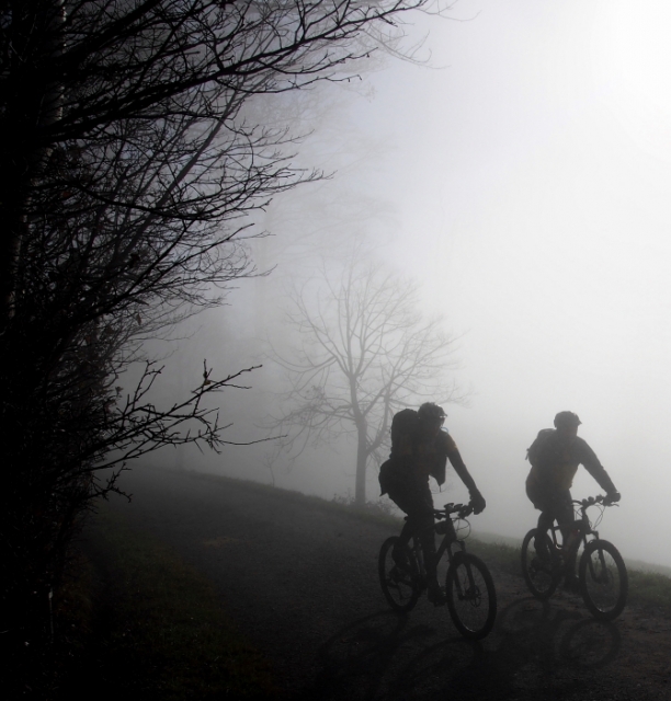hometrails 20141124 1991083325