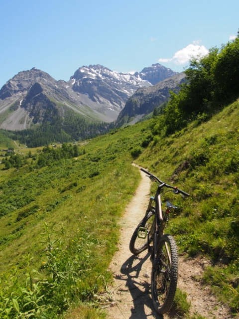 bergfruehling 20150714 1293164055