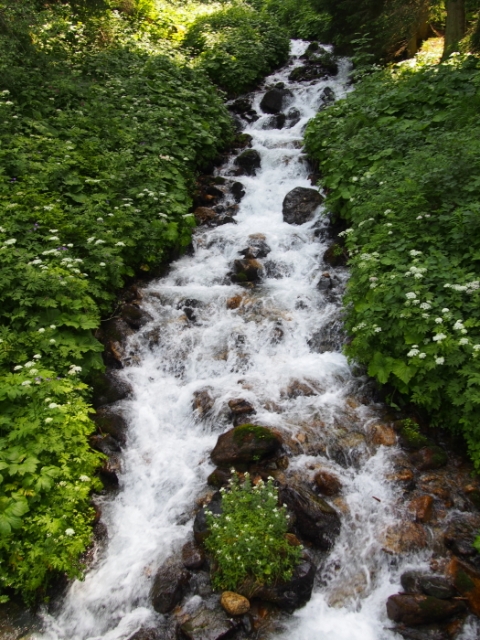 bergfruehling 20150714 1931351721