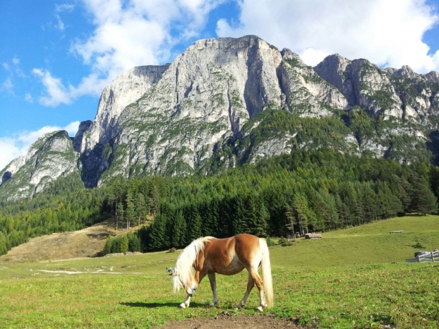 wandern biken schlemmen 20151012 1857621978