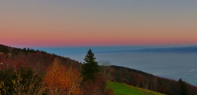 nebel und sonne 20151109 1977308593