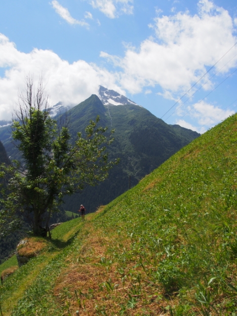 golzerensee 20150714 1147964967