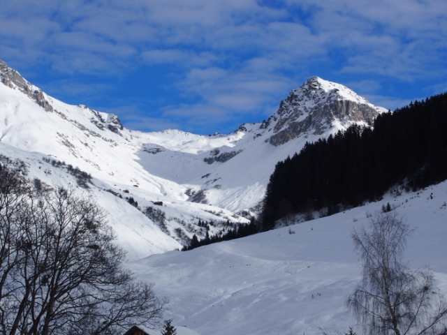 viel spass mit oli 20150109 2086083161